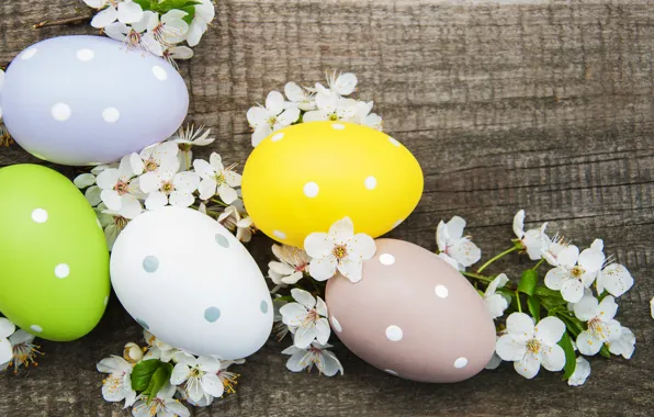 Flowers, eggs, spring, colorful, Easter, happy, wood, blossom