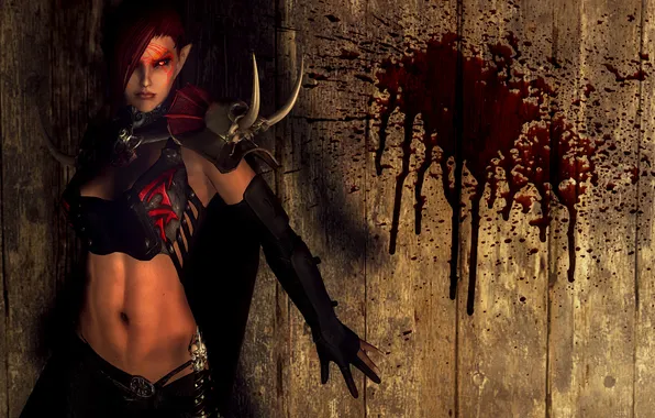 Picture girl, wall, blood, vampire, Skyrim