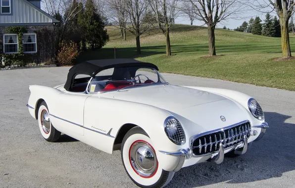 Picture white, trees, Corvette, Chevrolet, 1953, sports car, convertible, Chevrolet