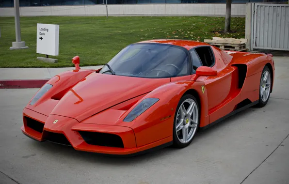 Picture Ferrari, red, supercar, Enzo