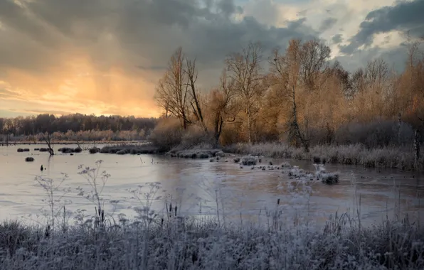 Winter, frost, forest, the sky, grass, clouds, trees, lake