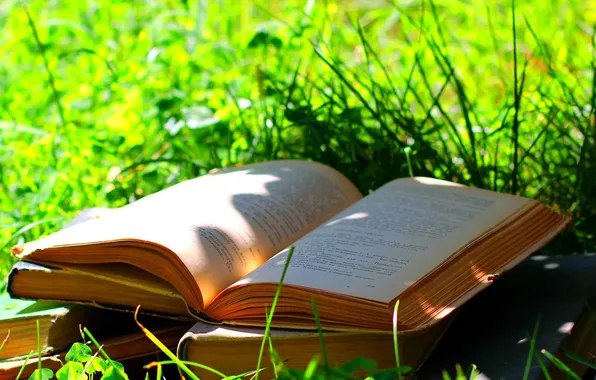 Picture grass, nature, shadow, plants, book