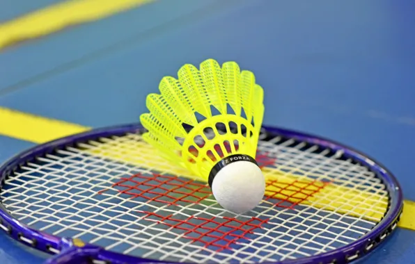 Picture macro, racket, badminton