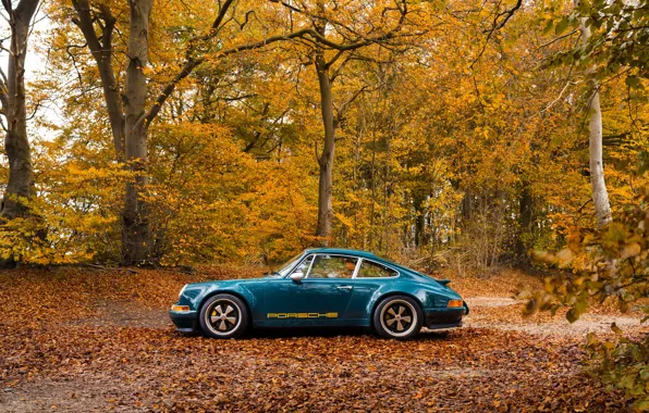 Car, 911, Porsche, autumn, 964, Theon Design Porsche 911
