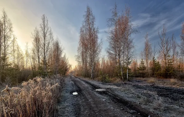 Picture frost, road, morning