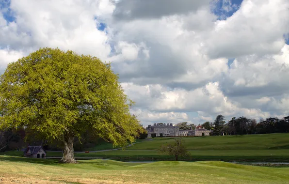 Field, forest, the sky, clouds, castle, tree, the building, dal