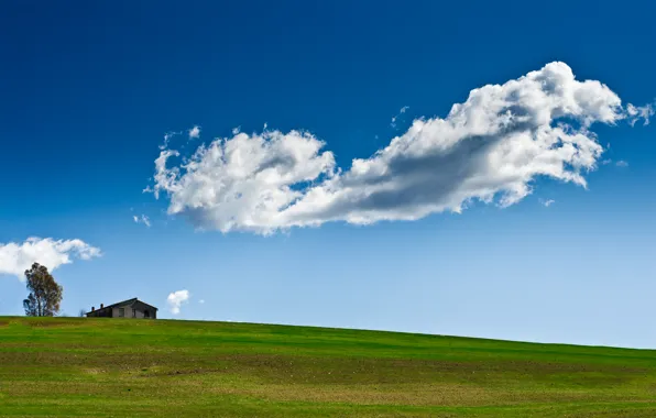 Field, the sky, grass, clouds, house, tree, green grass, Italy