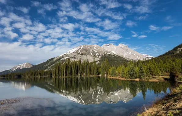 Picture forest, the sky, clouds, mountains, reflection, blue, rocks, shore