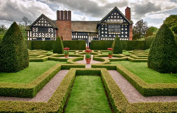 Trees, flowers, Park, England, garden, the bushes, estate, England