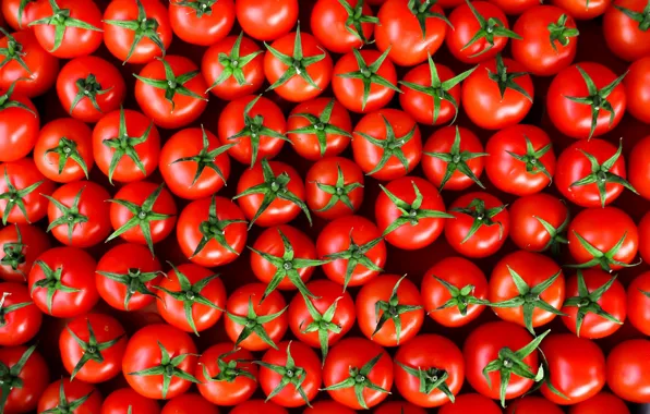 Picture red, tomatoes, a lot