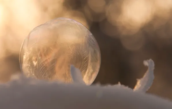 Winter, macro, snow, pattern, bubble, bubble, soap, frozen