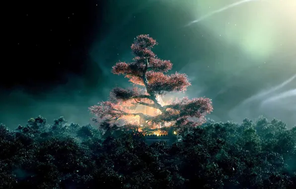 Picture forest, tree, tv series, guardian, The Shannara Chronicles