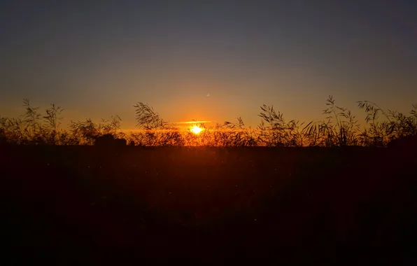 The SUN, SUNSET, The EVENING