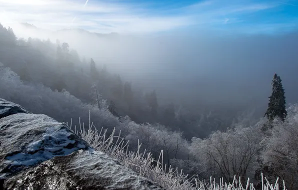Winter, landscape, mountains, fog