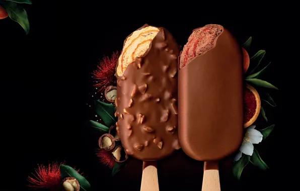 Leaves, ice cream, black background, nuts, hazelnuts, popsicle on a stick, slice of fruit