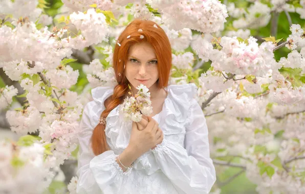 LOOK, TREE, FLOWERS, SPRING, RED, photographer Tanya Markova
