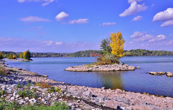 Autumn, the sky, clouds, trees, lake, island