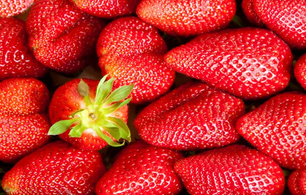 Picture berries, strawberry, red, red, fresh, ripe, sweet, strawberry