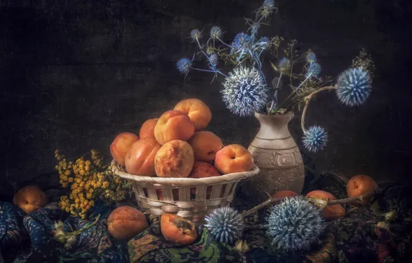 Fruit, shawl, apricots, Echinops