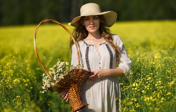 Picture field, girl, the sun, basket, chamomile, hat, Eygenei Eg