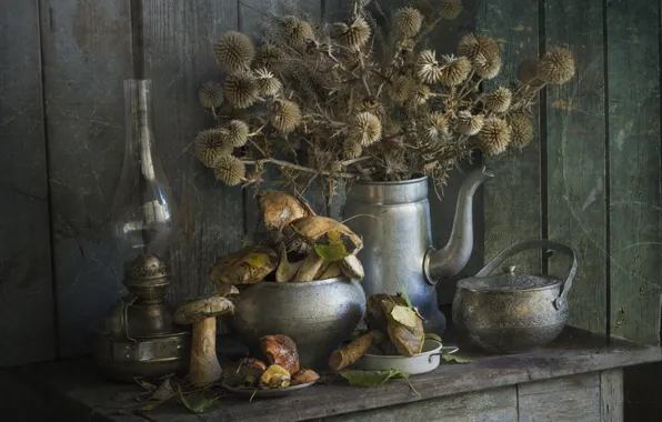 Leaves, branches, metal, retro, mushrooms, Board, bouquet, kettle