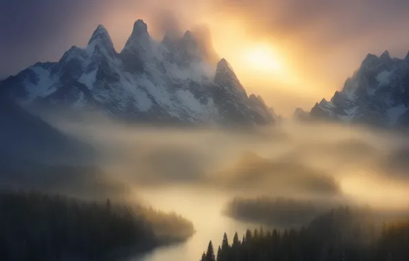 Winter, forest, the sun, light, snow, mountains, nature, fog
