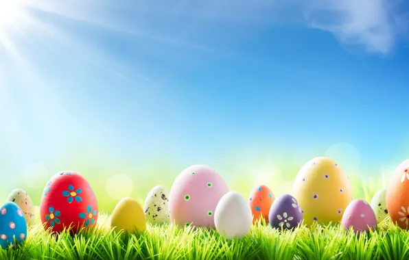 Grass, the sun, flowers, spring, Easter, flowers, spring, Easter