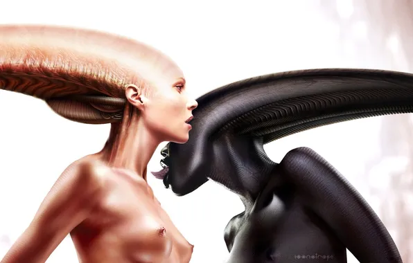 Girl, fiction, Stranger