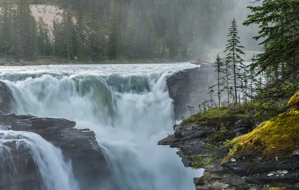 Picture trees, nature, waterfall