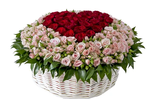 Picture flower, flowers, basket, roses, bouquet, basket