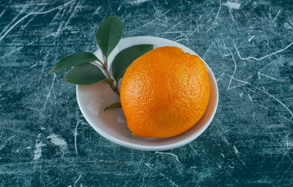 Leaves, background, one, orange, branch, fruit, scratches, citrus