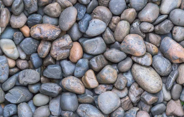 Picture beach, pebbles, stones, background, beach, texture, marine, sea