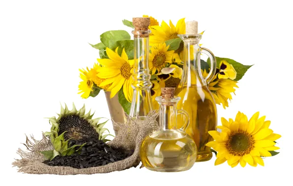 Leaves, sunflowers, flowers, oil, yellow, white background, tube, bottle