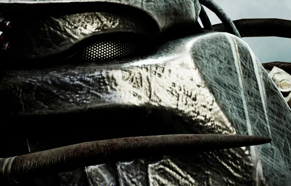 Predator, Hunter, Hunter, Predator