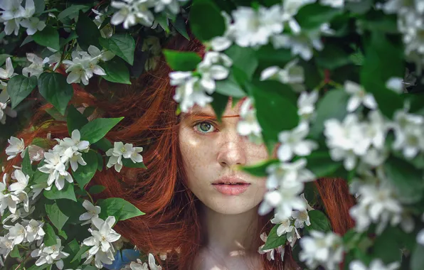Tree, foliage, freckles, green eyes, flowers, flowers, green eyes, tree