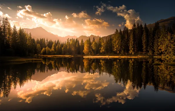 Picture forest, sunset, lake