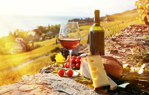 The sun, rays, wine, glass, cheese, grapes, grape, cheese