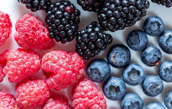 Berries, raspberry, blueberries, different, a lot, BlackBerry, cuts