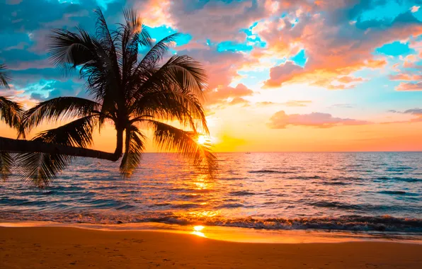 Sand, sea, wave, beach, summer, the sky, sunset, palm trees