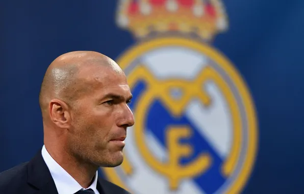 Picture Real Madrid, Zinedine Zidane, Zinedine Zidane