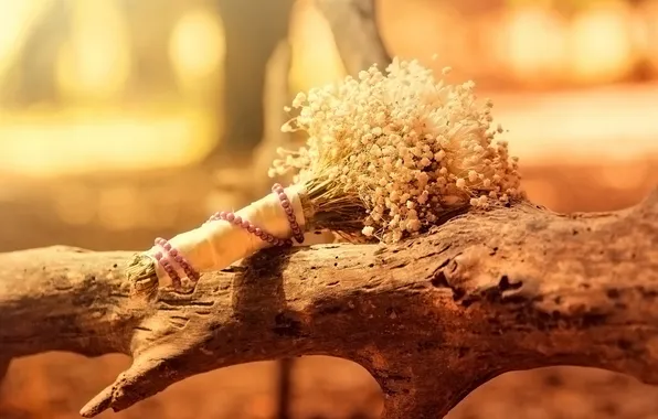 Picture trees, flowers, bouquet