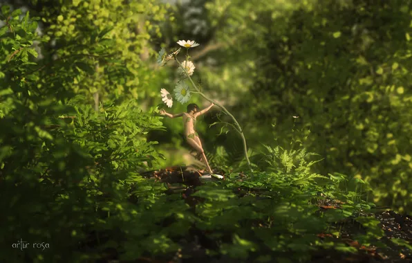 Forest, flower, grass, girl, nature, chamomile, render, nymph