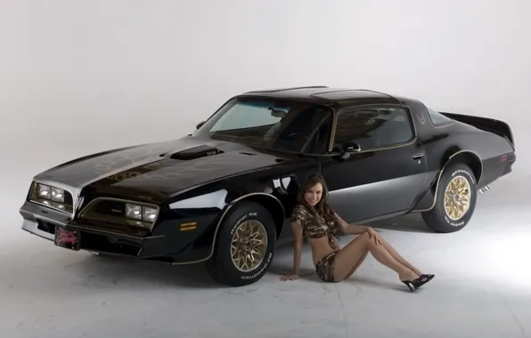 Look, girl, smile, white background, sitting, dark cars