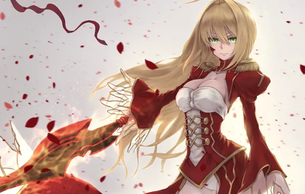 Picture girl, petals, the saber, Fate / Grand Order