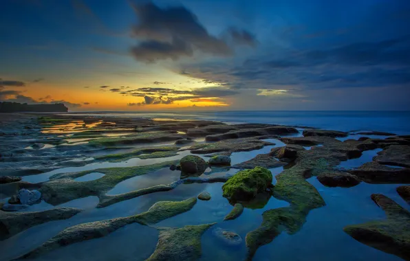 Sea, rocks, the evening, tide