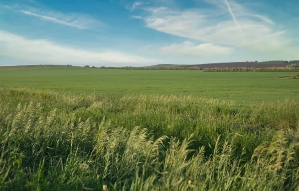 The sky, Clouds, Field, Mountains, Grass, Green, Summer, Hills
