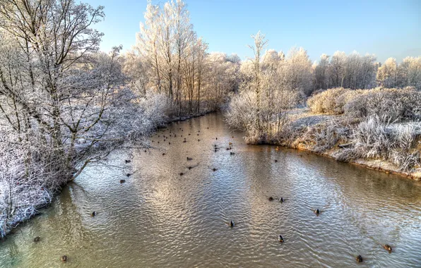 Winter, frost, the sky, the sun, snow, trees, pond, Park