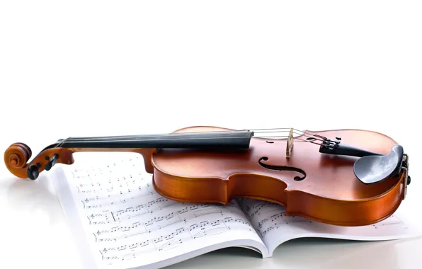 Picture notes, violin, strings, white background, journal, musical instrument