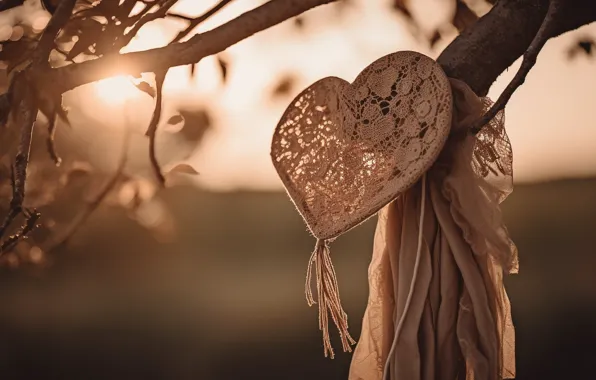 Love, branches, nature, holiday, heart, fabric, lace, shawl