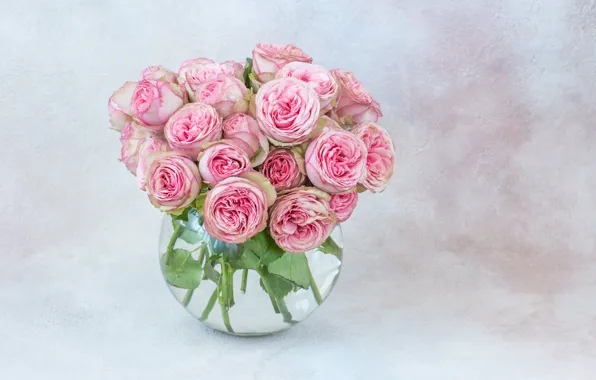 Roses, bouquet, vase, pink, Julija Vilvarin